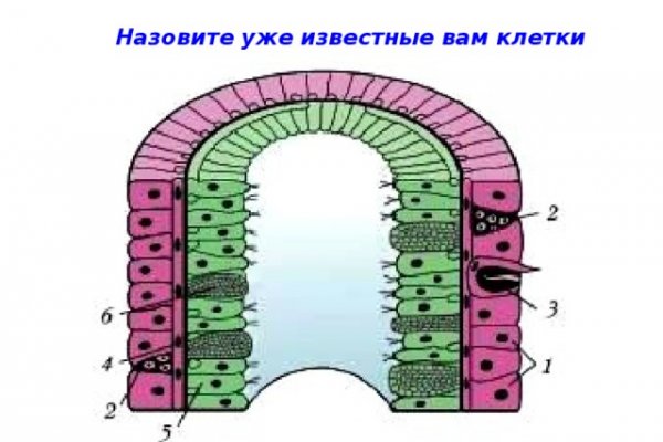 Правила модераторов кракен площадка