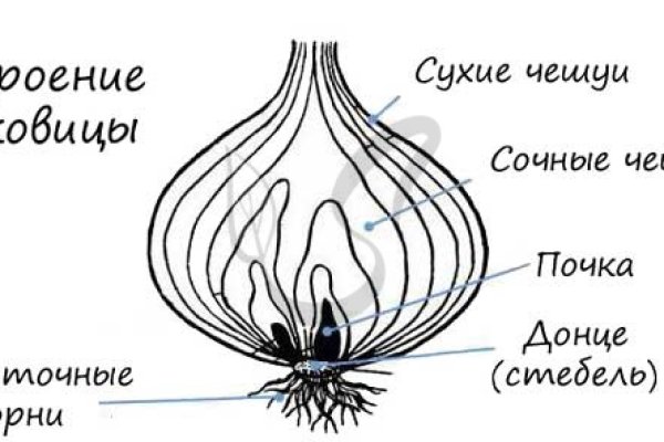 Кракен 15 сайт